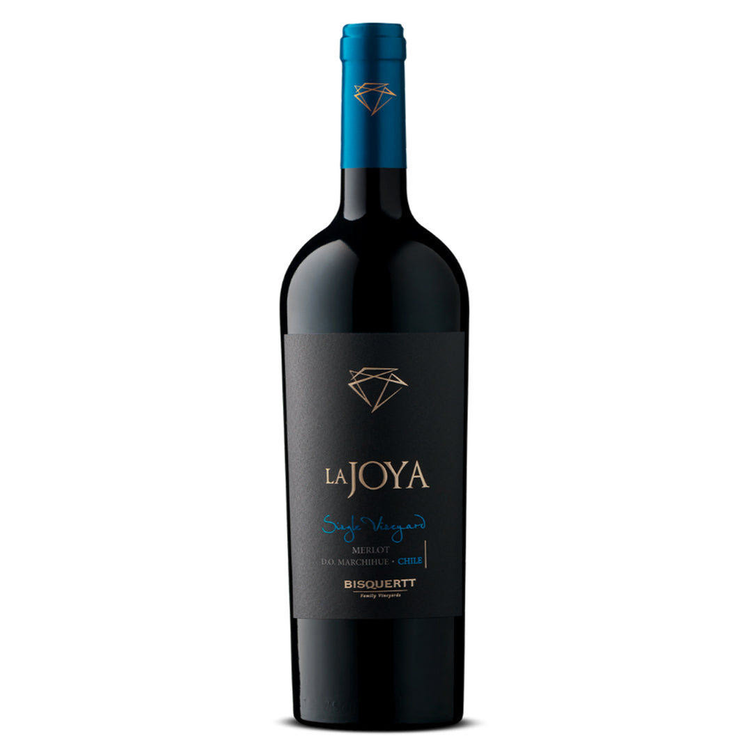 BISQUERTT LA JOYA SINGLE VINEYARD MERLOT 750 ML