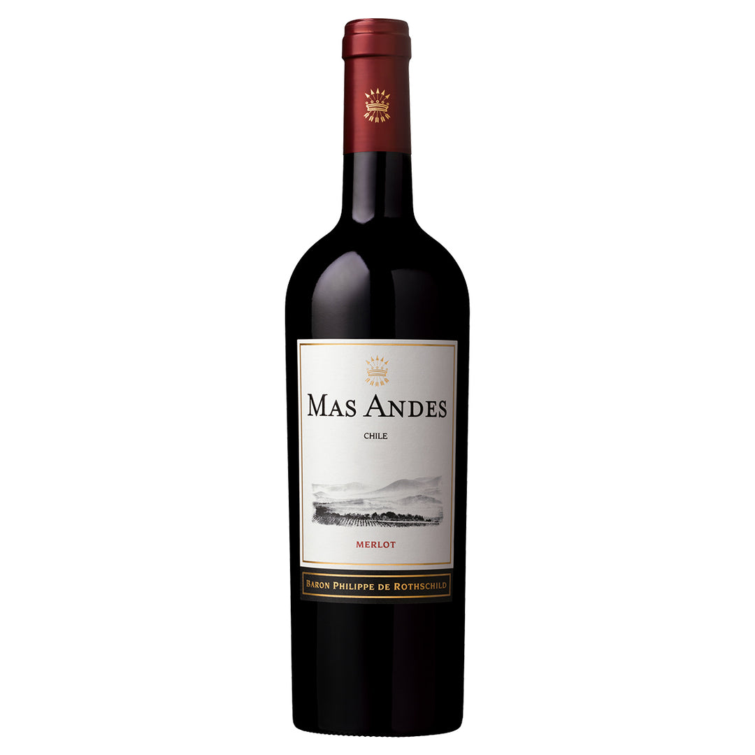 MAS ANDES GRAN RESERVA MERLOT 750 ML