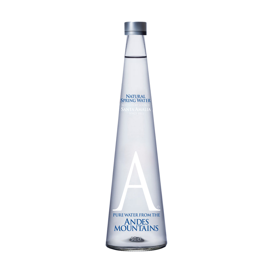 ANDES MOUNTAIN WATER 500 ML SIN GAS